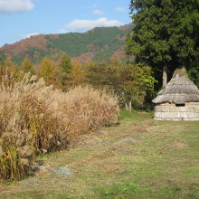 藁造りの小屋が印象的な『デンデラ野』