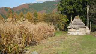 丘に建てられた藁造りの小屋が印象的な『デンデラ野』