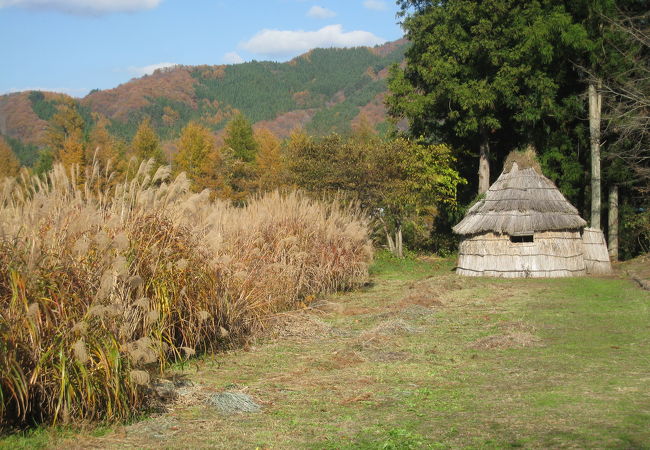 丘に建てられた藁造りの小屋が印象的な『デンデラ野』