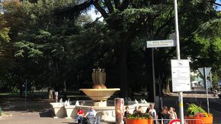 カエルの噴水のある公園。