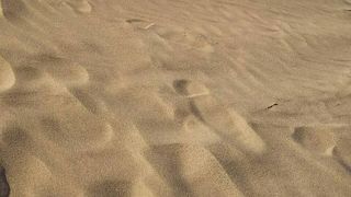 気持ちの良い場所