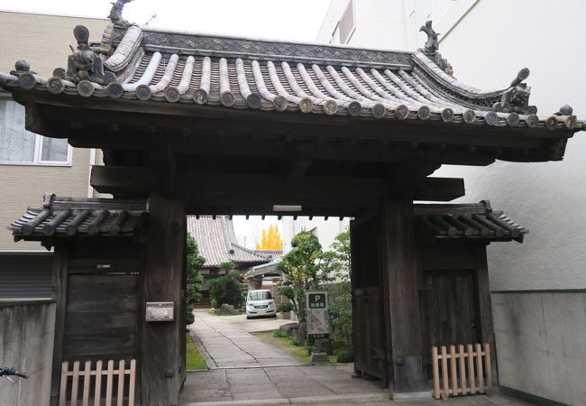 和歌山市の文化財のお寺