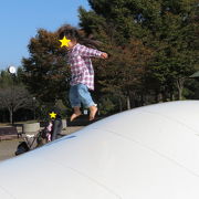 子供が大満足の自然豊かな公園