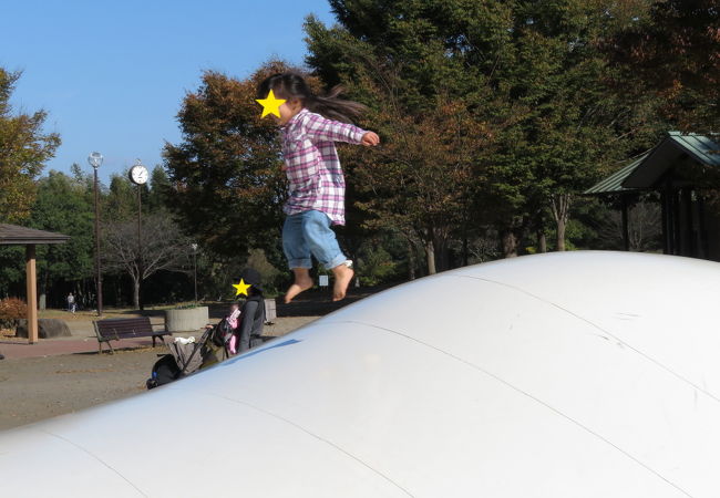 子供が大満足の自然豊かな公園