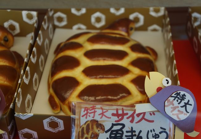 元祖亀まんじゅう かめや本店 クチコミ アクセス 営業時間 御前崎 フォートラベル