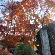 比叡山登山の途中鷺森神社に寄りました