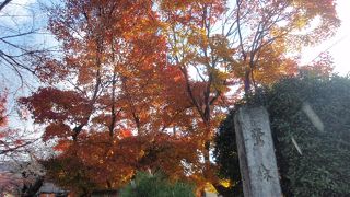 比叡山登山の途中鷺森神社に寄りました