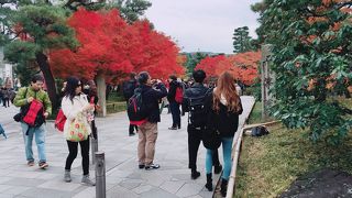 平等院 