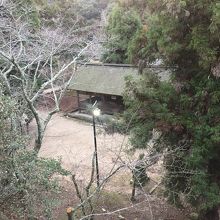 宿から公園を望む