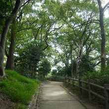 茶臼山古戦場跡