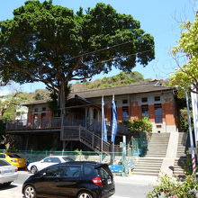 とにかくこのガジュマルの大木が凄い！