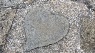 ハートの石を探す！