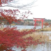 日本で一番遅い紅葉見物
