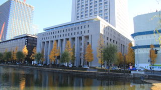 お堀端のイチョウ並木の黄葉が綺麗