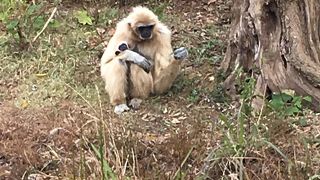 無料施設が多いのが良い