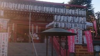 蓮は枯れていますが…