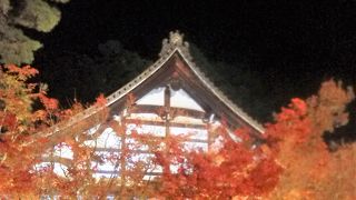 [モミジの永観堂]の紅葉！