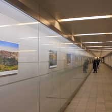 地下通路の壁に並ぶ作品群