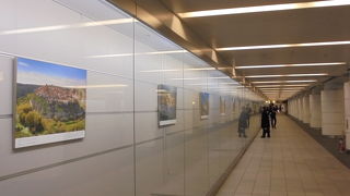 親しみやすい展示（行幸地下ギャラリー）