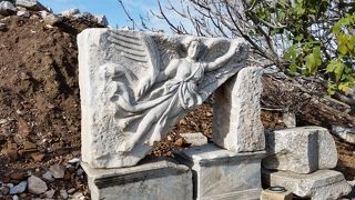 見どころ満載の通り