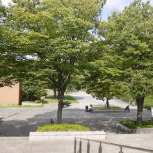 公園内　河底池付近