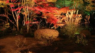 夜間拝観は格別