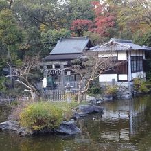 池の反対側から見た神社