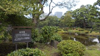 久々に行ってきました