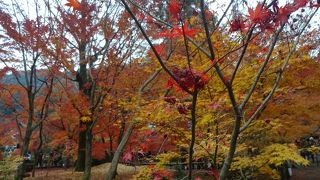 1000円は妥当か高すぎるか？