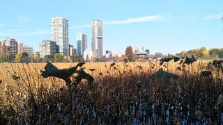 想像していたのと違いました