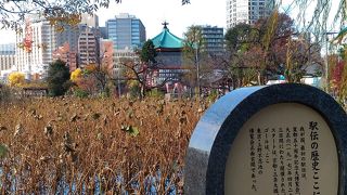 昔の駅伝は長距離でした