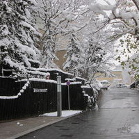 雪化粧のエントランス～