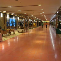 フロンからのロビー、当時の豪華さが伺えます！