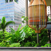 5階プールサイドガバナ