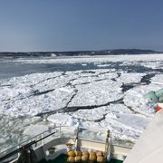 沢山の流氷が見れました！