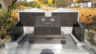 丸メガネでした