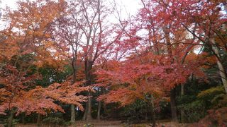 大人も子供も楽しめます