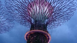 奇妙な人口ツリー