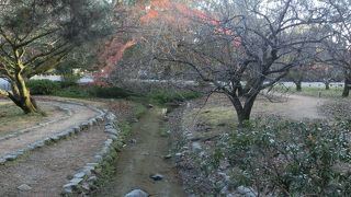 深さ数センチの人工の流れ、紅葉が美しい