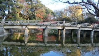 紅葉が映えて、一番の絶景。