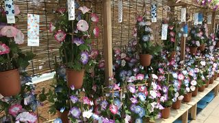 随分変わりましたねぇ