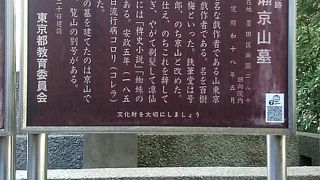 岩瀬京伝の弟です