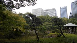 ぐるりと全部周ったのは初めてでした