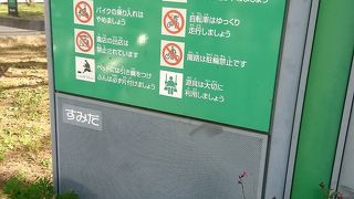 多くの子供で賑わっています