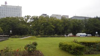 想像していたよりもお花は少なめだったかも・