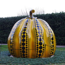 カボチャは外の道路からも見える場所にありました