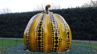 ユニークな展示品が集まっています