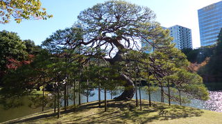 後楽園を代表する光景です