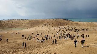 赤ちゃんと幼児と砂丘に行きました