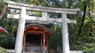 八坂神社の境内にある神社です